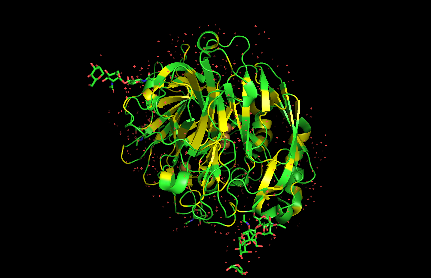 Image of a structure of laccase enzyme