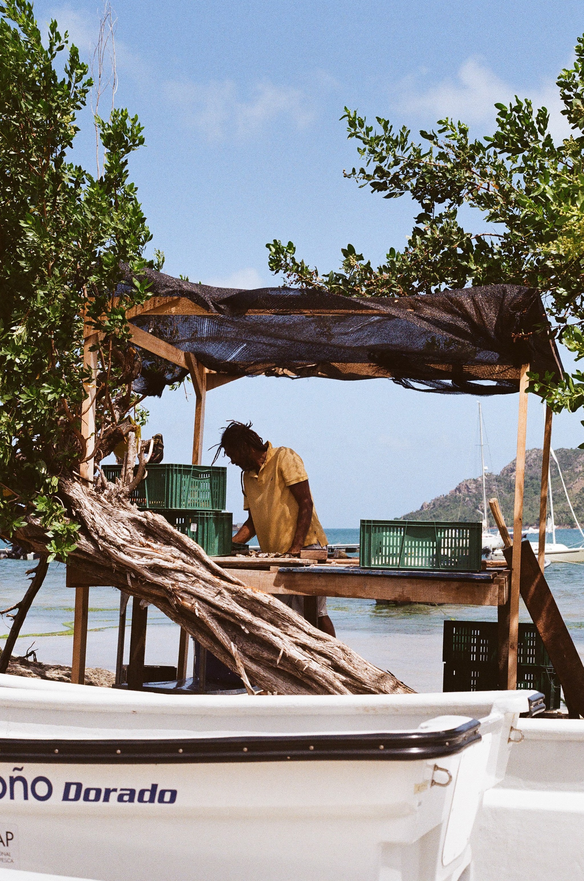 Person sitting under a rustic wooden structure by the water.