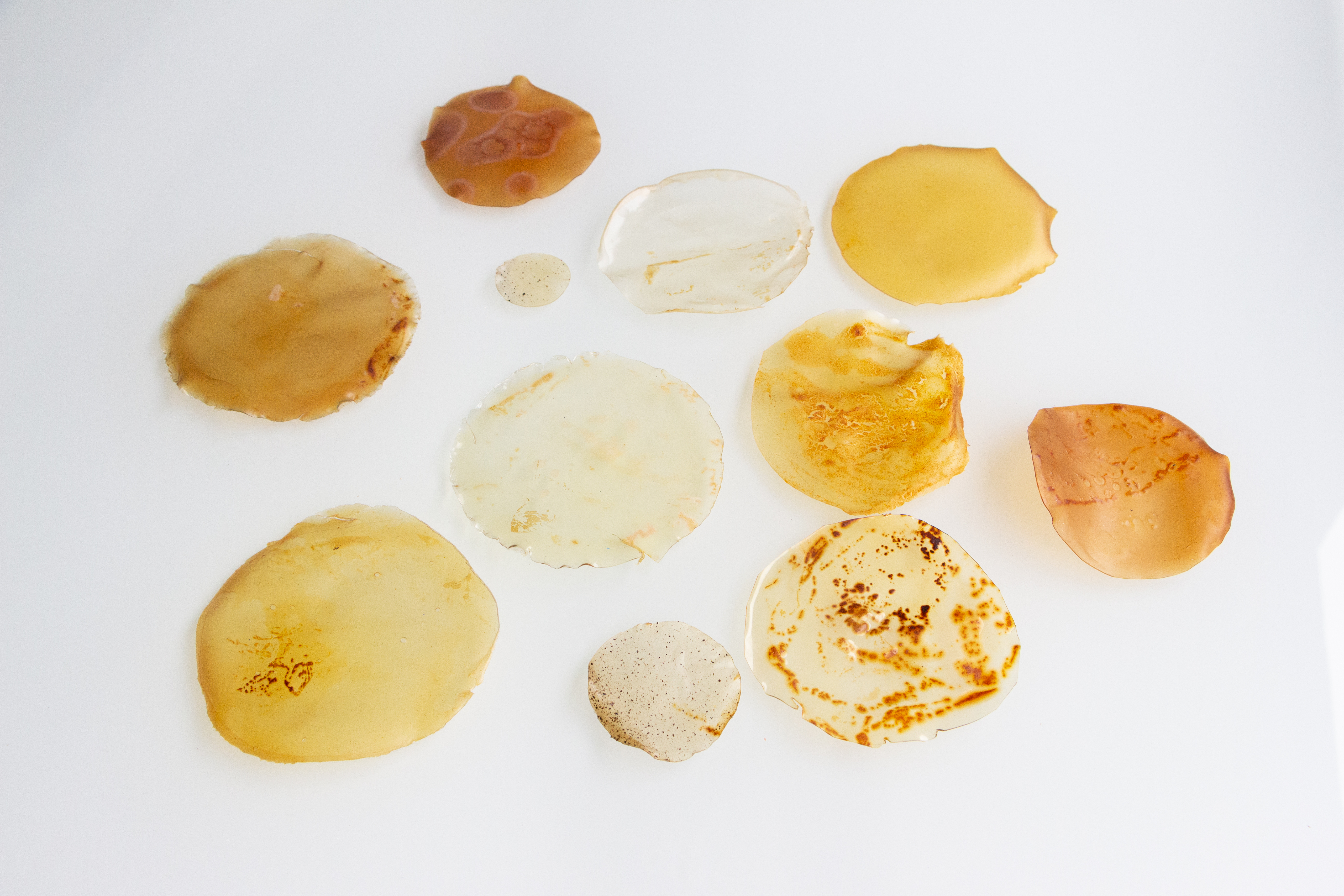 Image of bioplastic samples