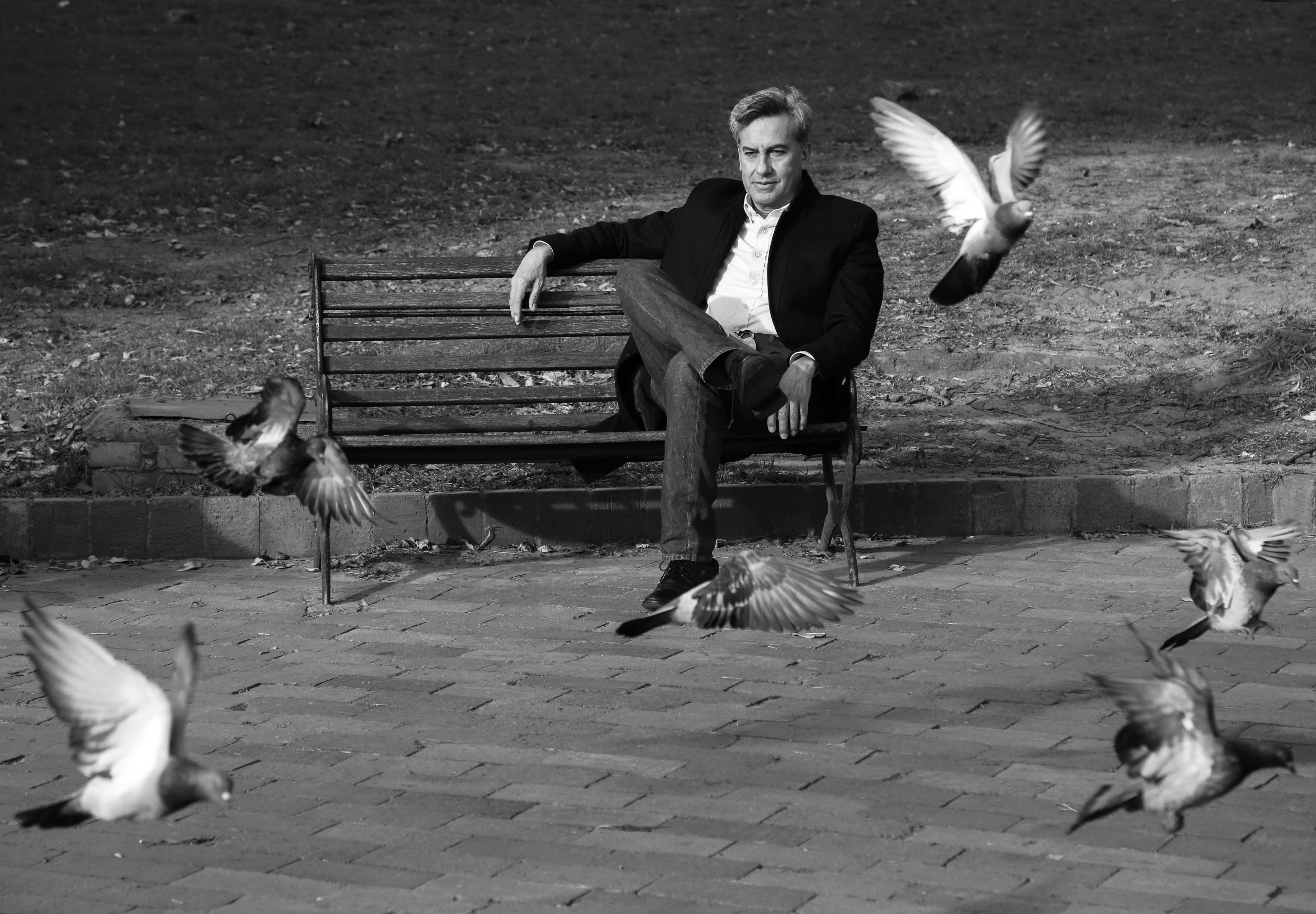 Black and white portrait of a person sitting on a bench with pigeons flying around.