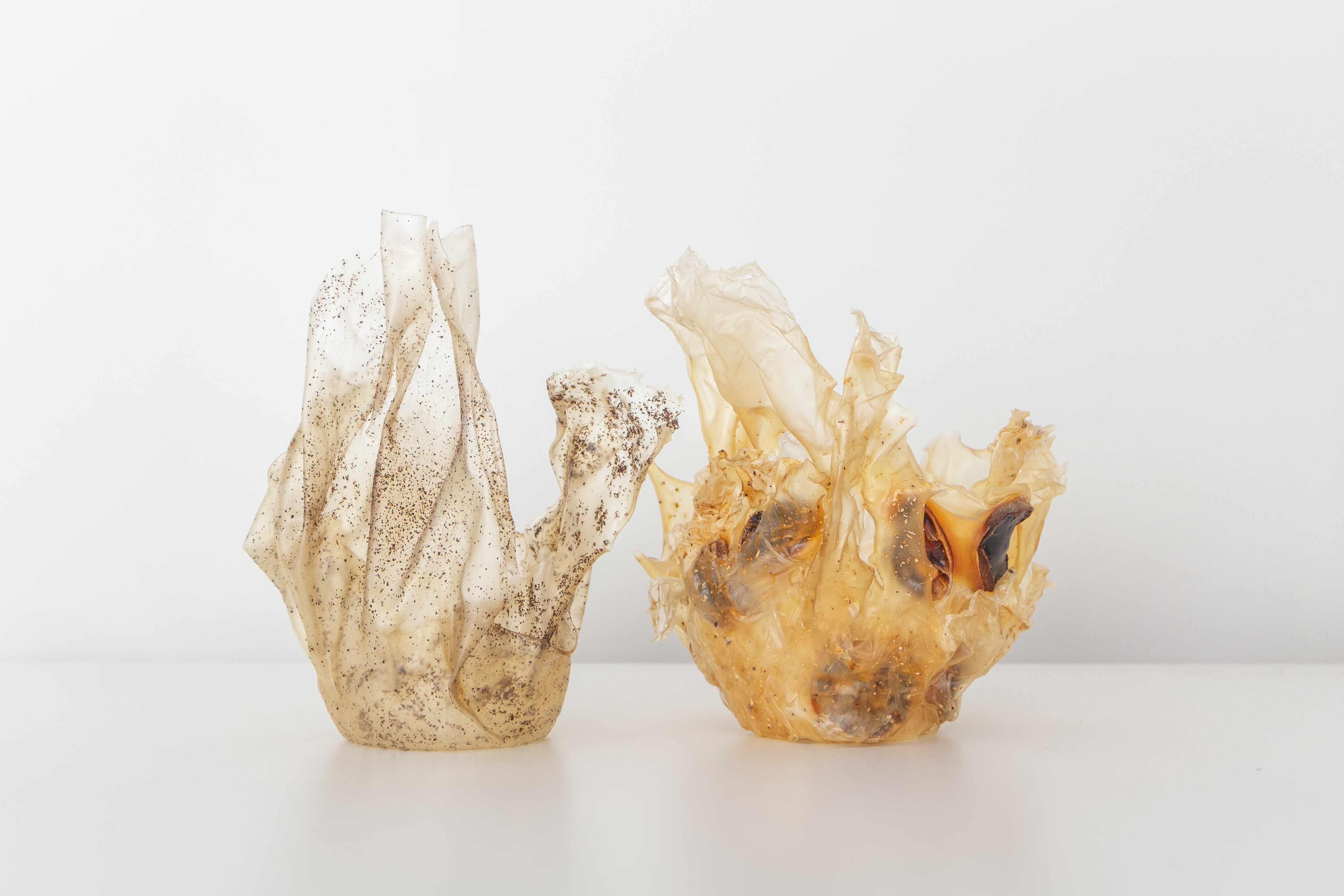 Two sculptural translucent vessels with an organic, coral-like shape.