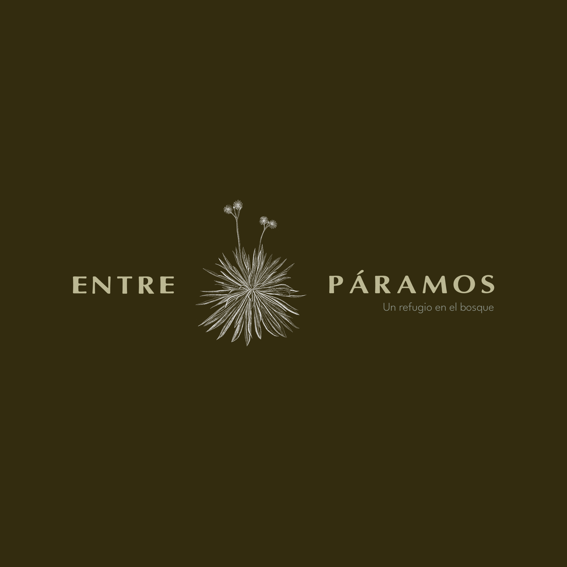 Logo with a stylized frailejón plant and text reading ‘Entre Páramos, an integration of biomes’ on a dark green background.