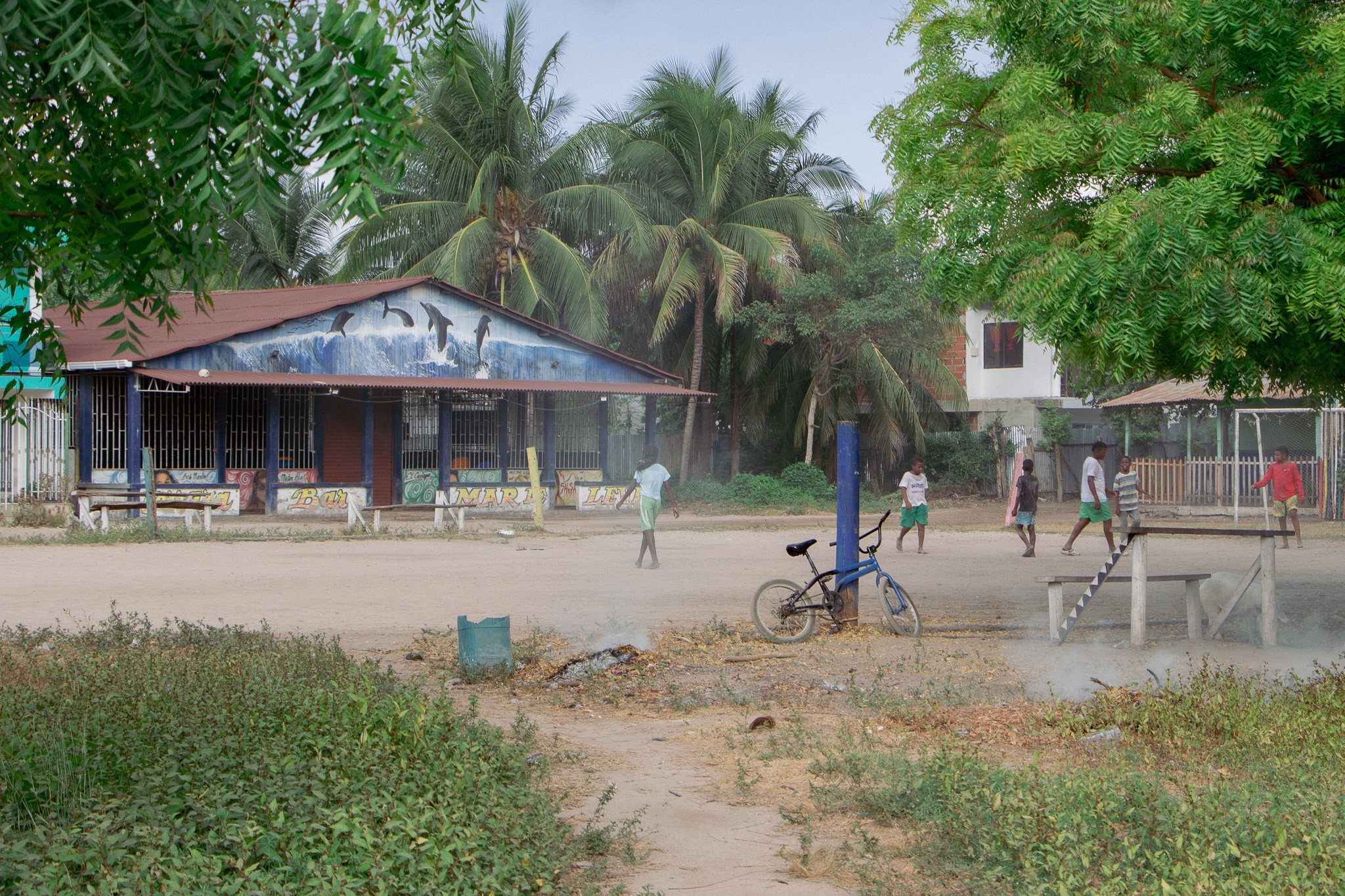 Street scene with a house, palm trees, and children playing outside.