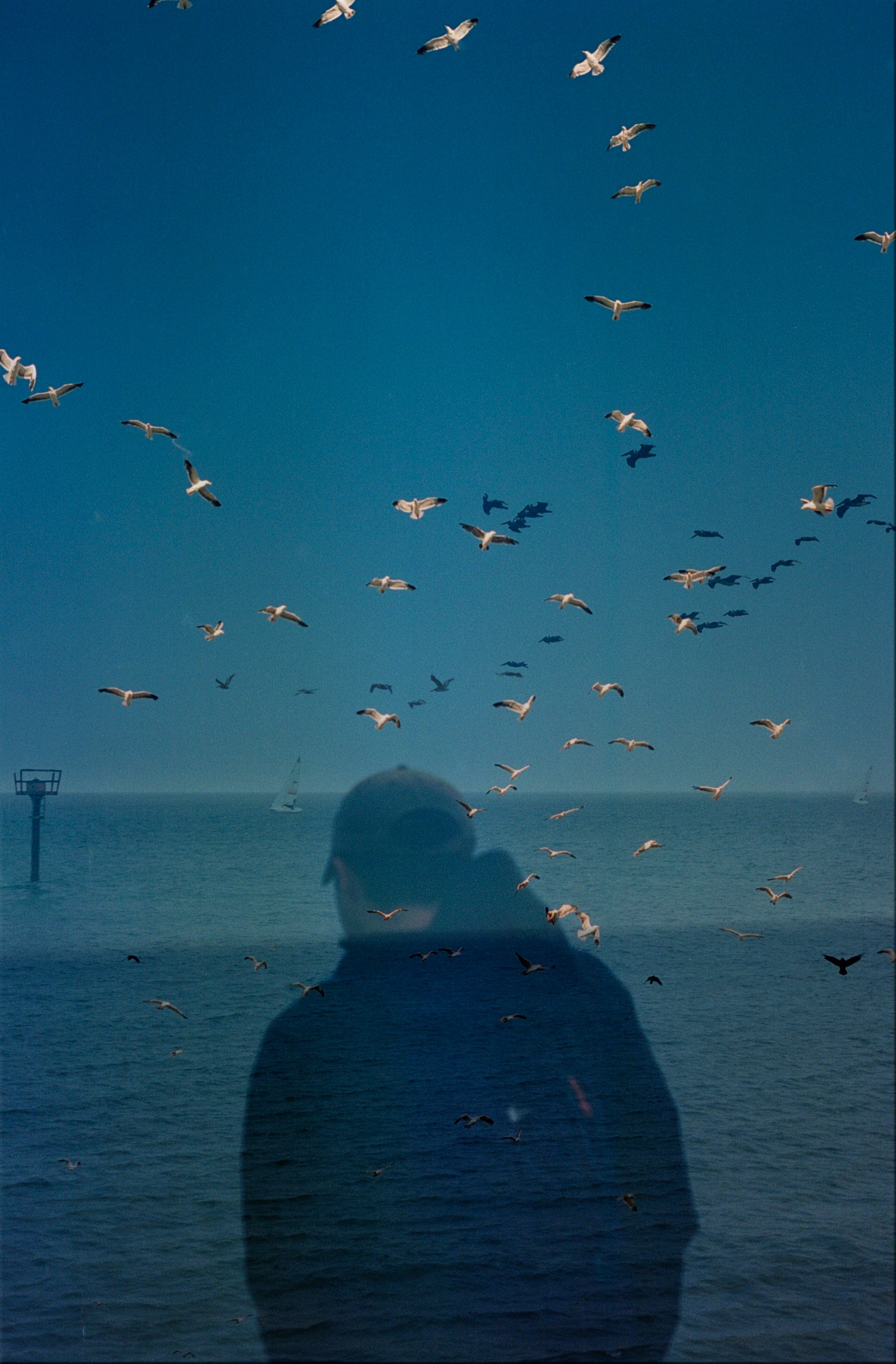 Image of a silhouette of a person looking at a flock of birds flying over a blue sky.